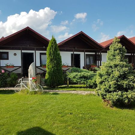 Pensiunea Valea Argesului Albestii Paminteni Buitenkant foto