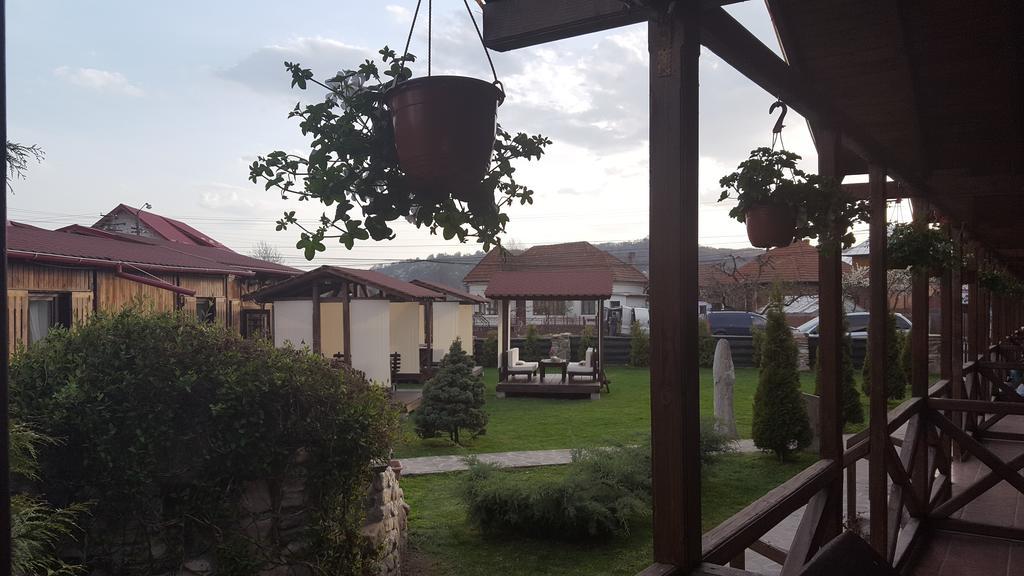 Pensiunea Valea Argesului Albestii Paminteni Buitenkant foto