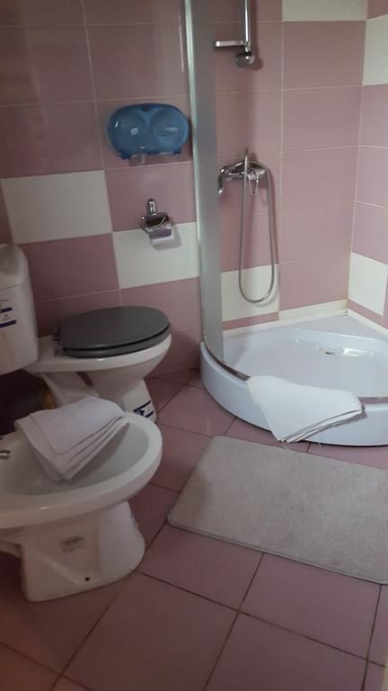 Pensiunea Valea Argesului Albestii Paminteni Buitenkant foto