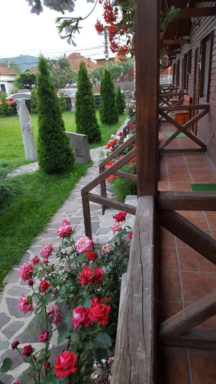 Pensiunea Valea Argesului Albestii Paminteni Buitenkant foto