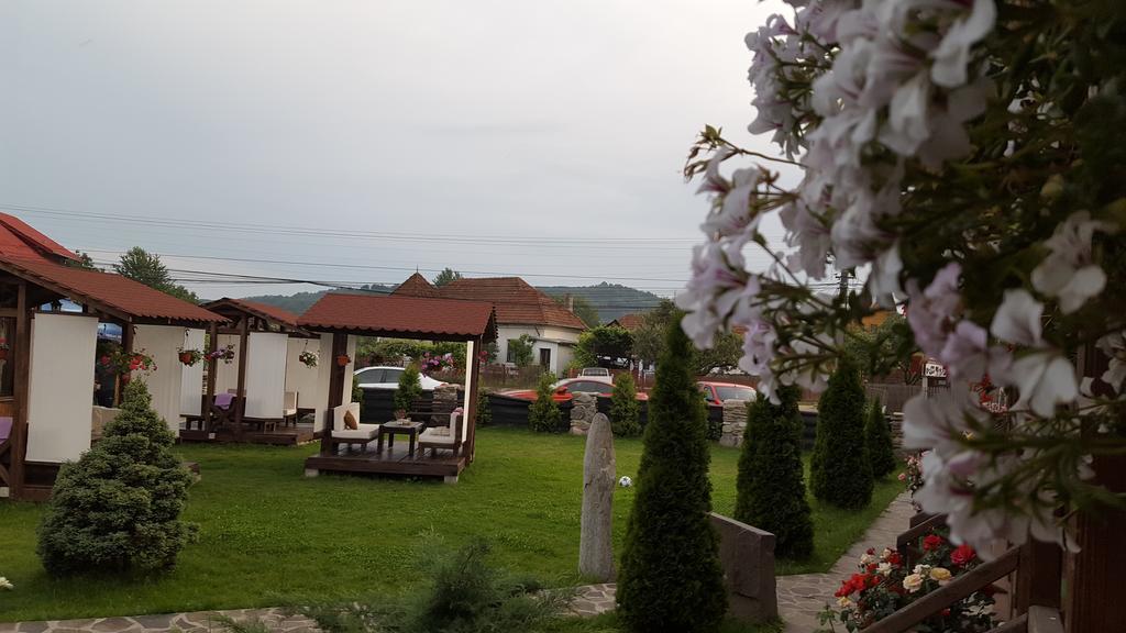 Pensiunea Valea Argesului Albestii Paminteni Buitenkant foto