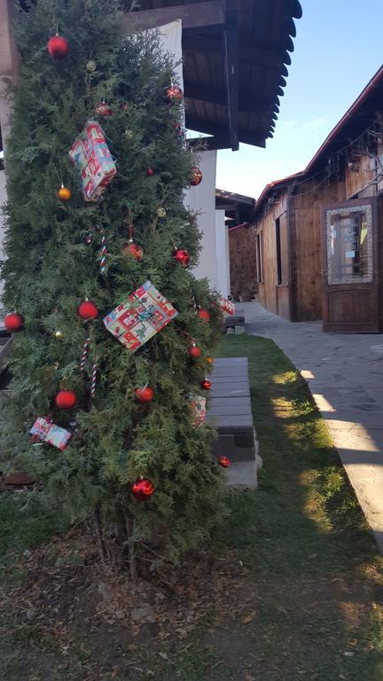 Pensiunea Valea Argesului Albestii Paminteni Buitenkant foto