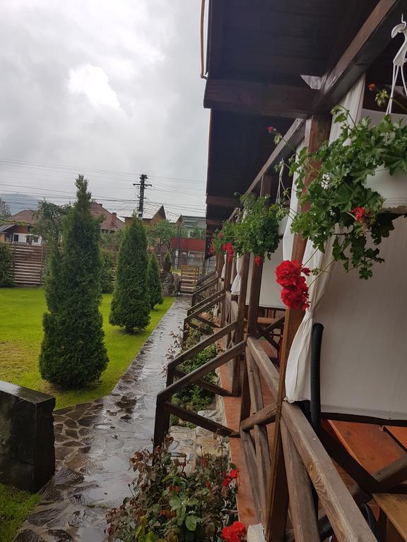 Pensiunea Valea Argesului Albestii Paminteni Buitenkant foto
