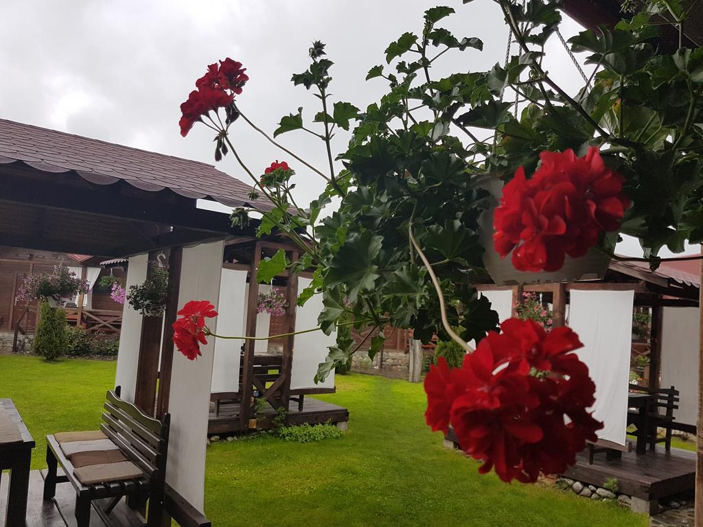 Pensiunea Valea Argesului Albestii Paminteni Buitenkant foto