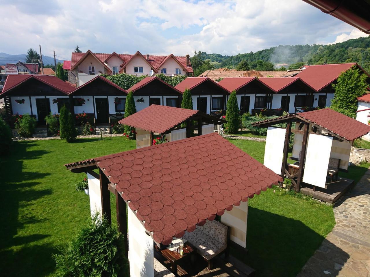 Pensiunea Valea Argesului Albestii Paminteni Buitenkant foto
