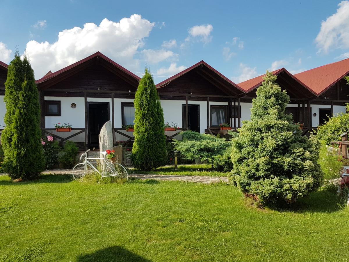 Pensiunea Valea Argesului Albestii Paminteni Buitenkant foto