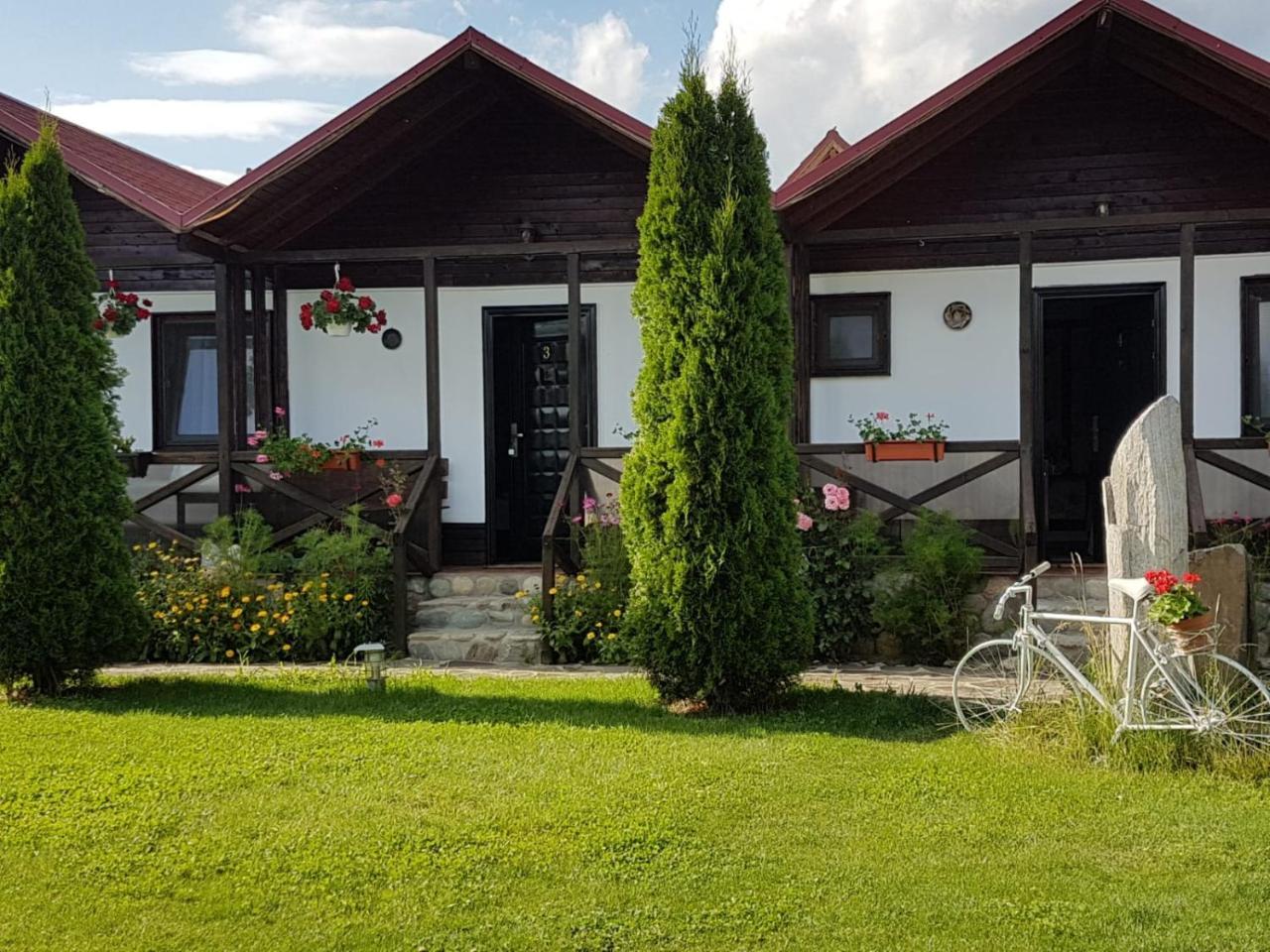 Pensiunea Valea Argesului Albestii Paminteni Buitenkant foto