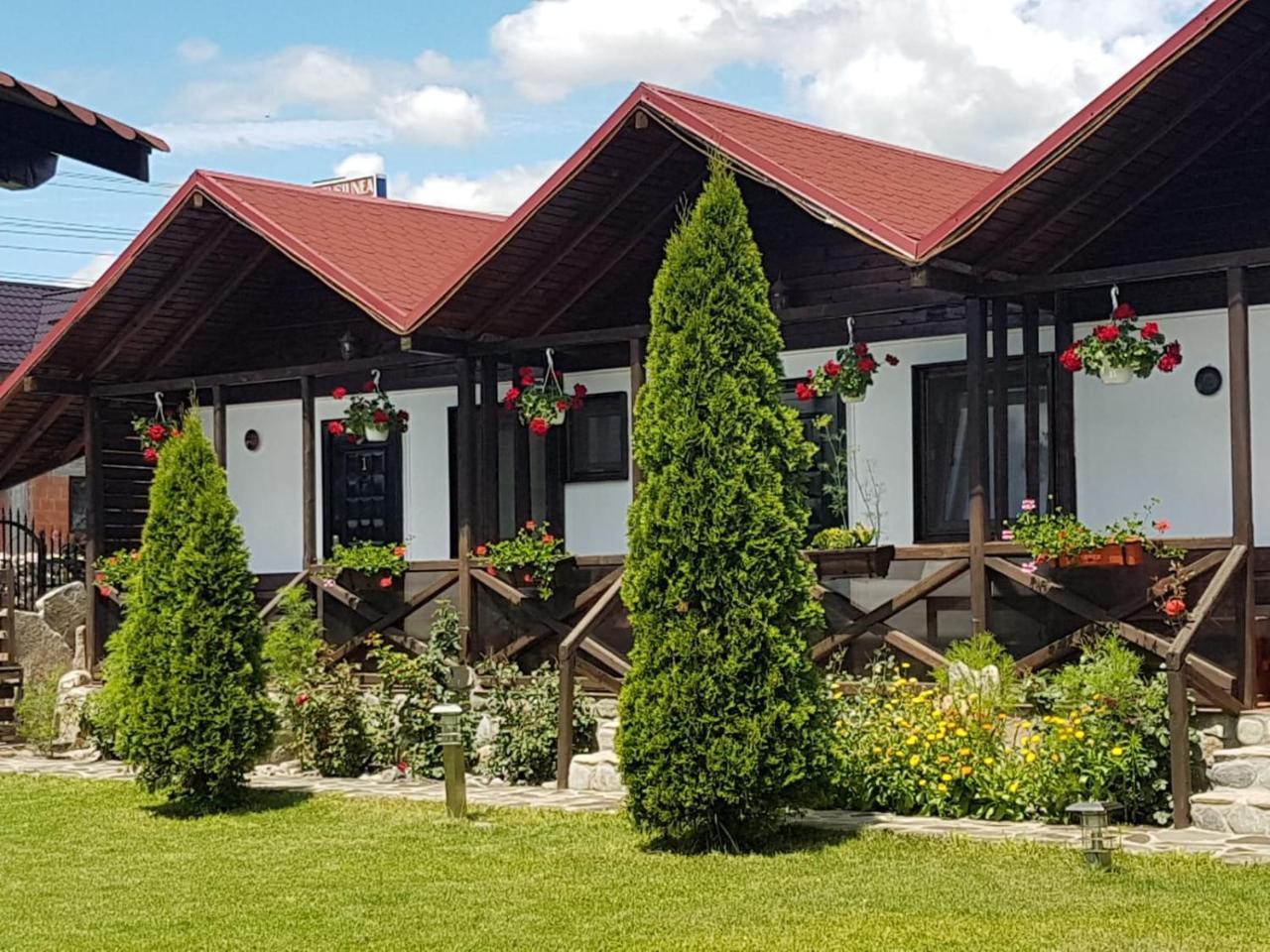 Pensiunea Valea Argesului Albestii Paminteni Buitenkant foto