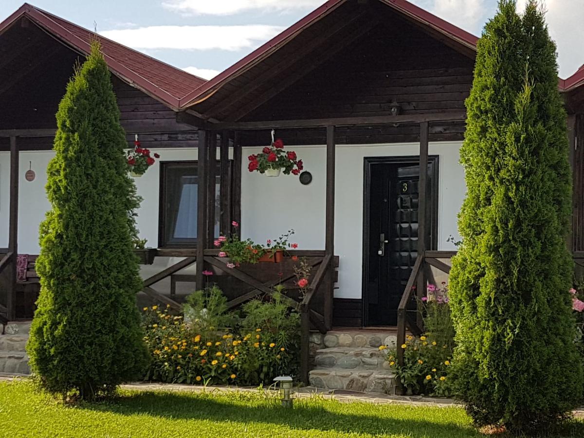 Pensiunea Valea Argesului Albestii Paminteni Buitenkant foto