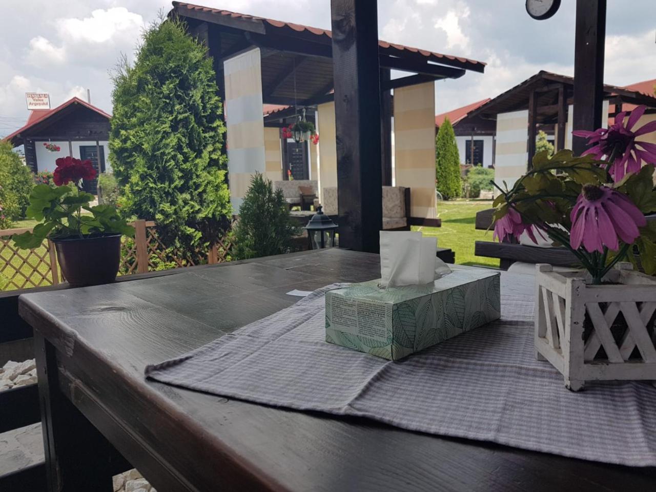Pensiunea Valea Argesului Albestii Paminteni Buitenkant foto